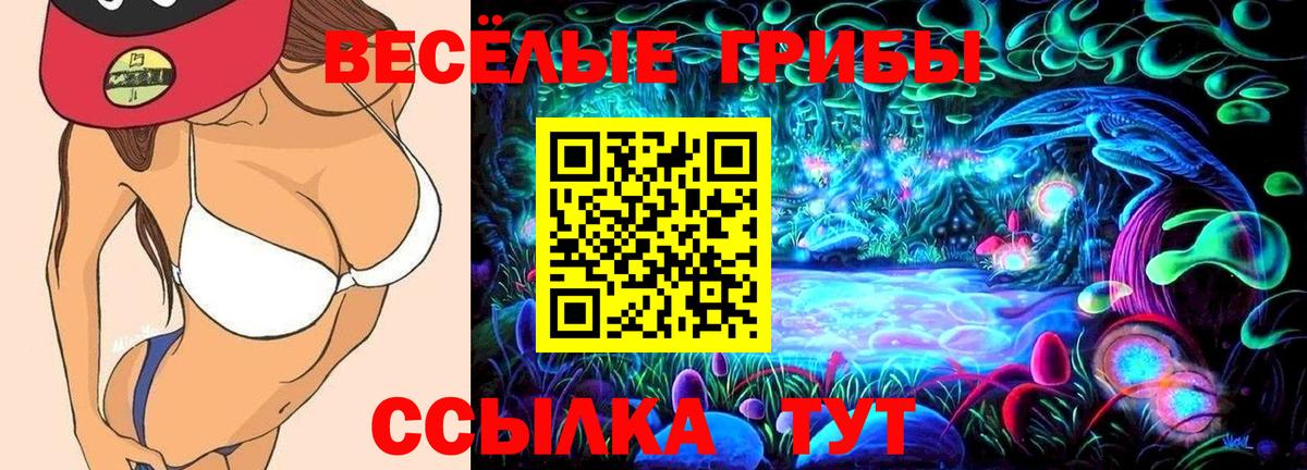 Сибай  Псилоцибиновые грибы мухоморы  Вход с VPN 